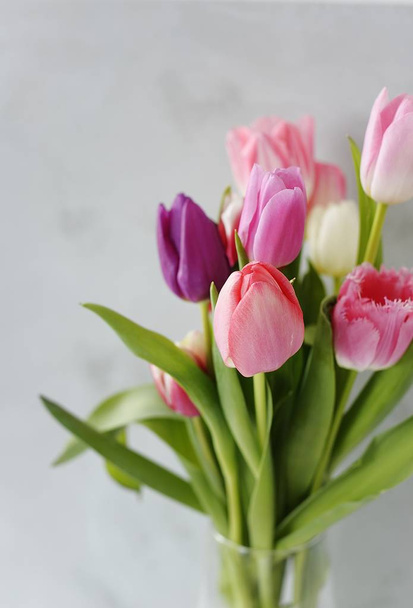 spring flowers tulips on a gray background - Foto, Bild