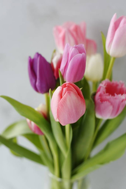 spring flowers tulips on a gray background - Photo, image