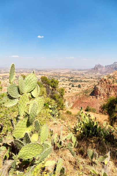 en ethiopie afrique le panorama dans la vallée montagne et ciel
 - Photo, image