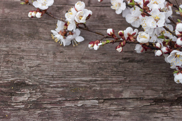 A wooden textural background with a bouquet of flowering apricots wrapped in string - Fotoğraf, Görsel