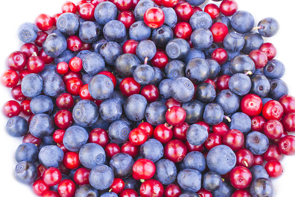 blueberries and cranberries, cowberries, lingonberries on the white background - Fotó, kép