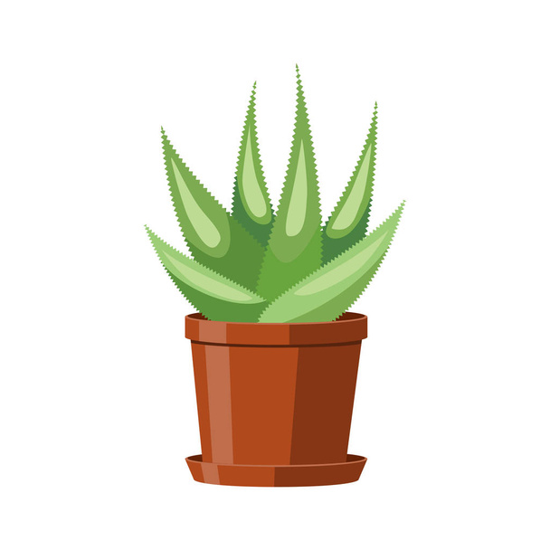 Aloe cactus in a brown pot. Flowering houseplant. Vector illustration on white background. - ベクター画像