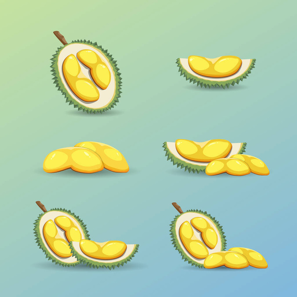 Halves of a tropical durian fruit on a blue background. Fresh and organic durian fruit. Vector illustration. - Vector, afbeelding