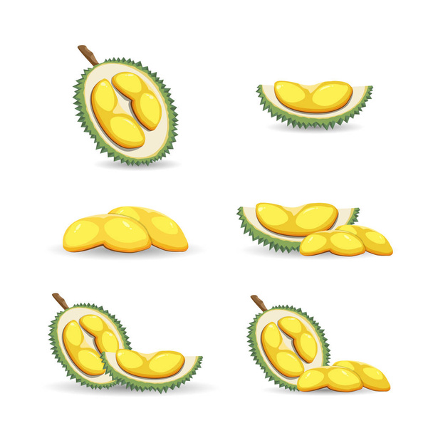Halves of a tropical durian fruit isolated on a white background. Fresh and organic durian fruit. Vector illustration. - Вектор, зображення