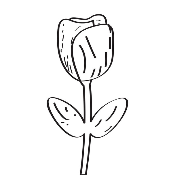 Drawing of a rose - Vector, Image