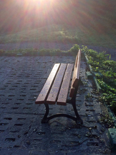 ławce w parku w miękkie jesienne słońce  - Zdjęcie, obraz