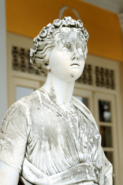 Estatua de una musa Euterpe
 - Foto, imagen