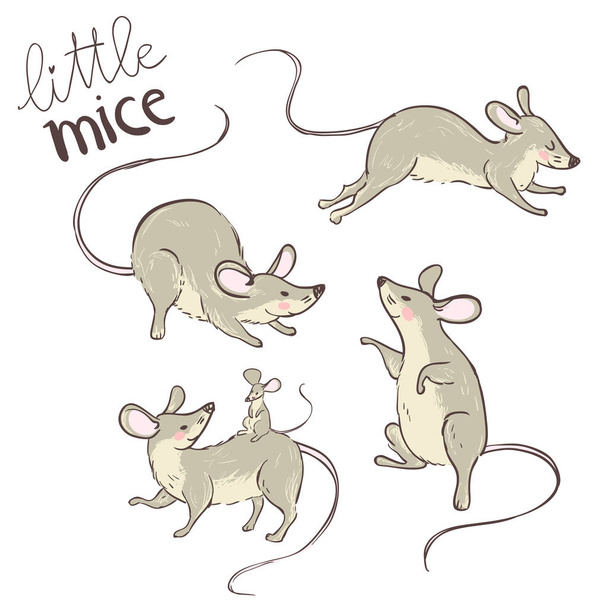 Set von niedlichen Charakteren von kleinen netten Mäusen, Vektor, Illustration  - Vektor, Bild