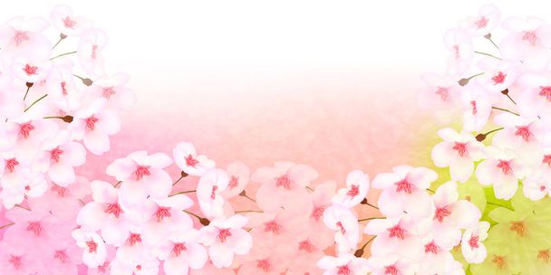 Cseresznye virágok tavaszi virágot háttér - Vektor, kép