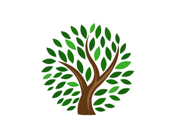 Green Leaf Circle Tree - Vektor, obrázek