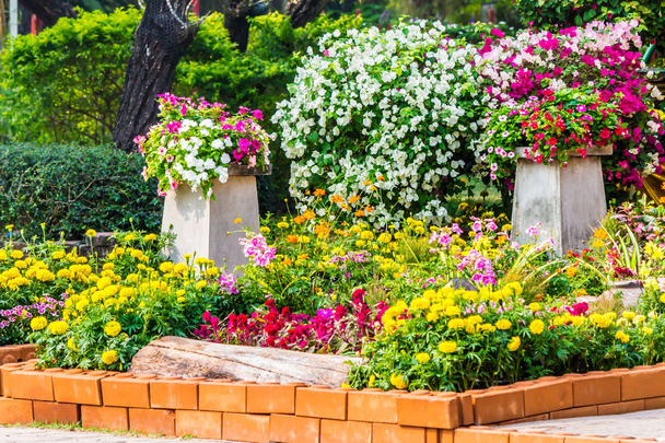 Acogedor jardín de flores caseras en verano
 - Foto, imagen