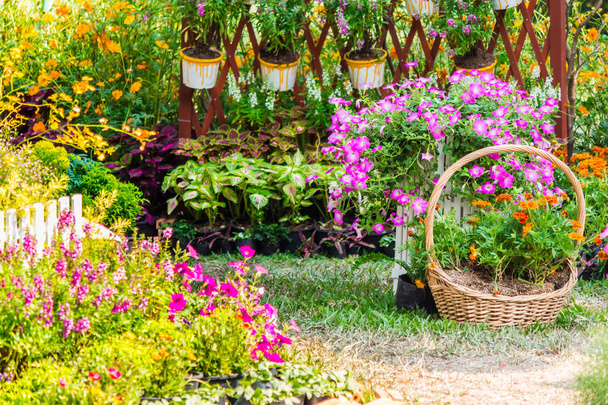Útulný domov květinová zahrada na léto - Fotografie, Obrázek