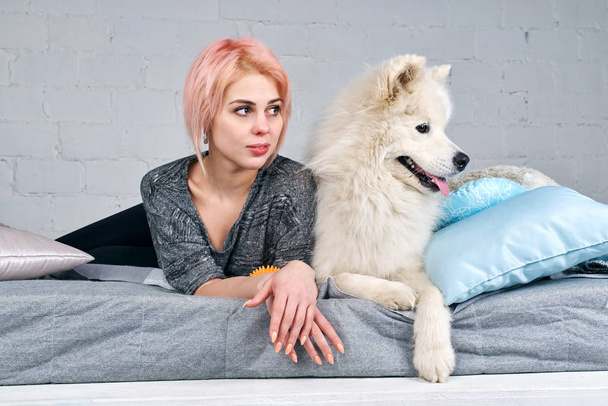 young attractive girl with a short haircut and blonde hair along with her large white dog Samoyed lying on bed and looking over. - Фото, изображение