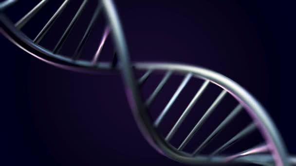 ADN giratorio, concepto científico de ingeniería genética, tinte azul.. 3D renderizado animación loopable de la molécula brillante de ADN giratorio sobre fondo azul. Concepto genético. Rotación de animación del modelo ADN
 - Imágenes, Vídeo