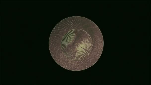 Abstraktní pozadí kolísá geometrické kruhový vzor 10 A computeru animace pozadí abstraktní s kolísající, pulzující, geometrické, kruhový vzor   - Záběry, video