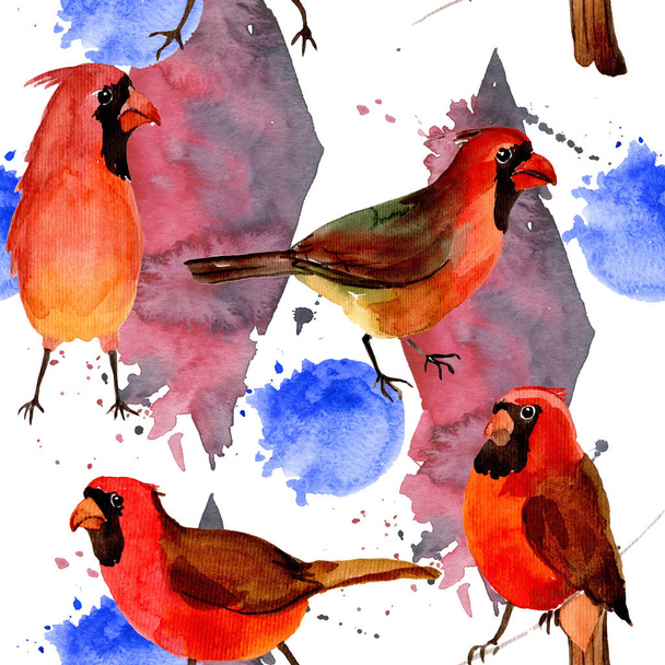 Sky pták červených kardinál vzor v divoké akvarel styl. - Fotografie, Obrázek