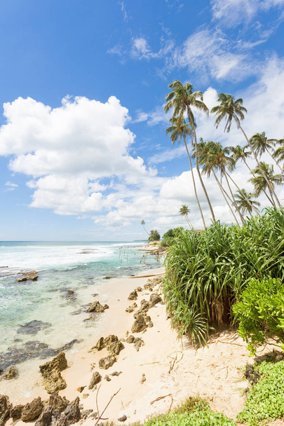 Μπροστινή Παραλία Κογγάλα, Σρι Λάνκα - αίσθημα δωρεάν ενώ χαλαρώνετε στο το lo - Φωτογραφία, εικόνα