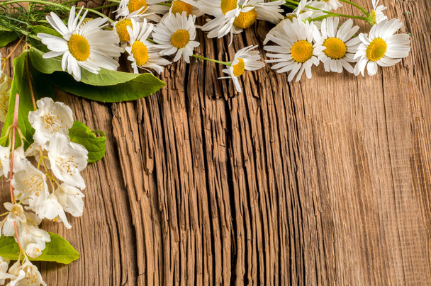 Kır çiçekleri. Stüdyo fotoğrafçılığı. Papatya, Yasemin, tahtaya - Fotoğraf, Görsel