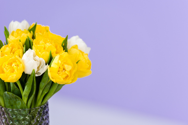 8 march celebration bouquet of tender spring tulip flowers in vase on violet - Foto, afbeelding