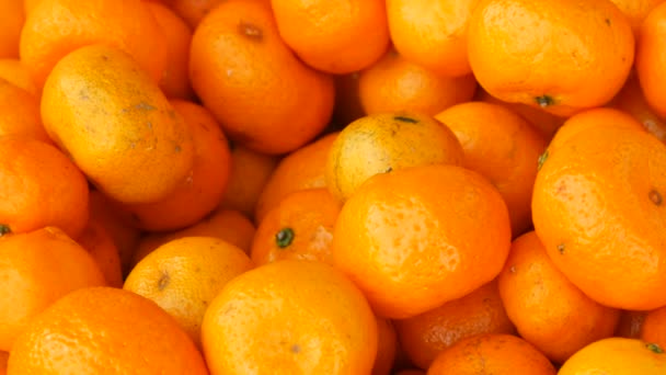 Sok narancs-mandarin a háttérben - Felvétel, videó