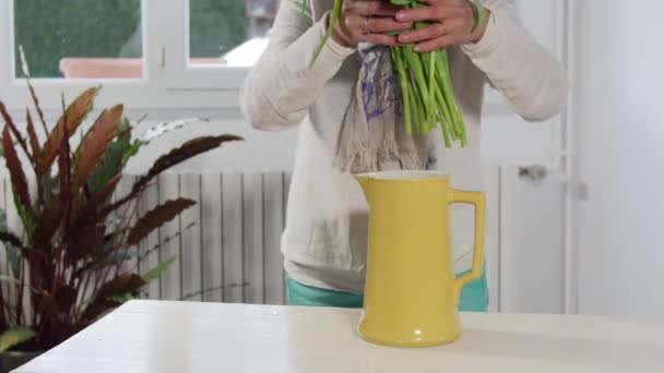 Vrouw regelt lente tulpen boeket in een vaas - Video