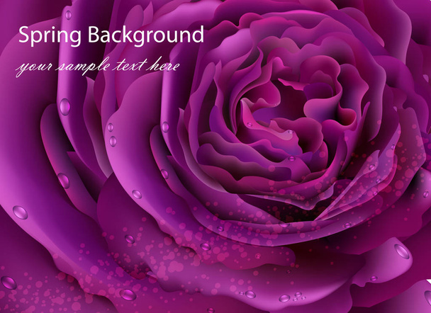 Rose Blume Nahaufnahme Vektor realistischen Hintergrund. 3D Abbildung ultraviolette Farben - Vektor, Bild