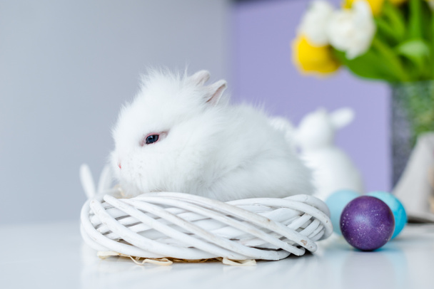 Conejo en el nido por huevos de Pascua de colores en la mesa
 - Foto, Imagen