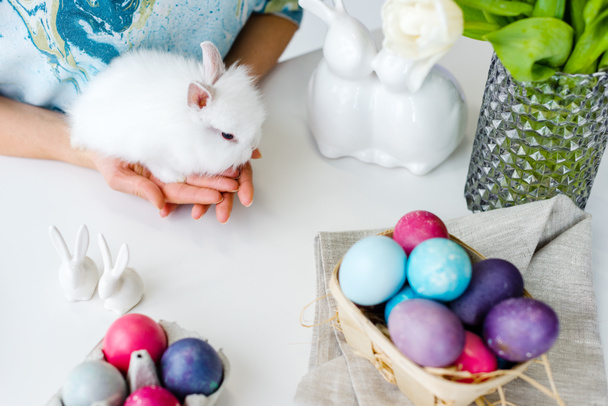 White bunny in female hands with Easter eggs on table - Foto, Imagen