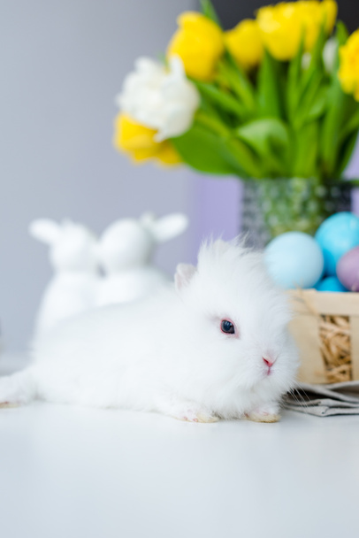Cute rabbit by painted Easter eggs on table - Фото, зображення
