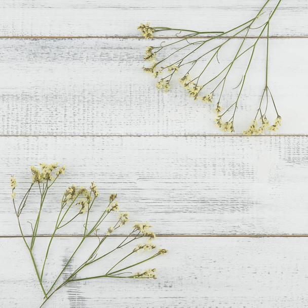 Sarı limonium caspia çiçekleri beyaz tahta arka plan ile kopya alanı - Fotoğraf, Görsel