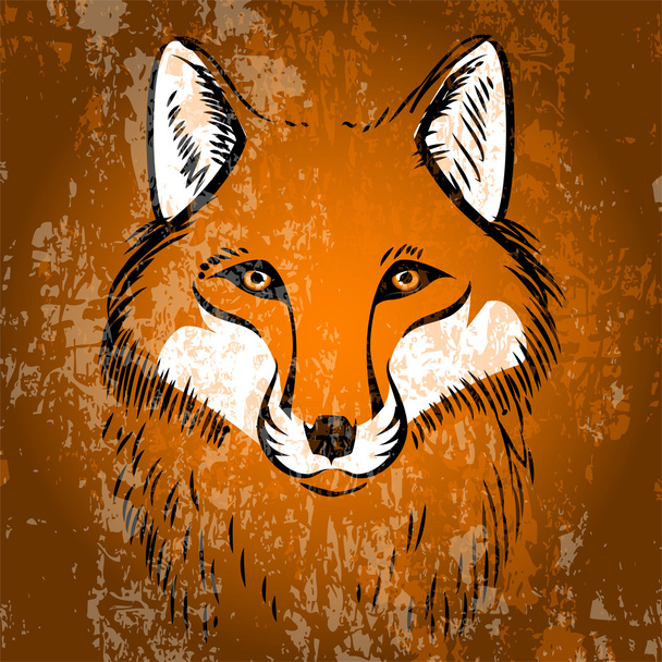 Red fox. Vector illustration. - Vector, Image