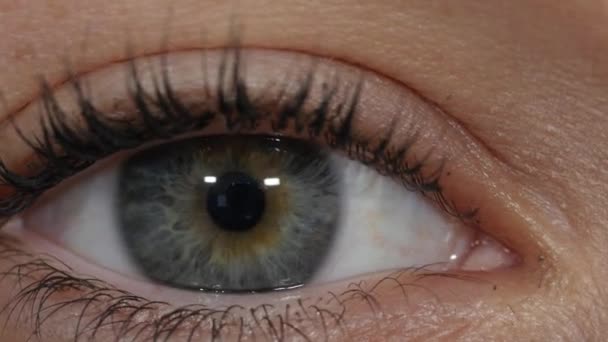 close-up of a young woman's eye - Footage, Video