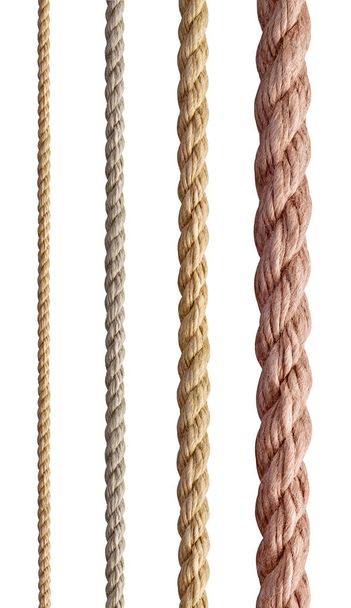 colección de varias cuerdas de cuerda sobre fondo blanco. cada uno se dispara por separado - Foto, imagen
