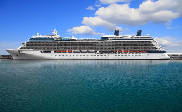Luxury Cruise Ship in Port on sunny day - Foto, imagen