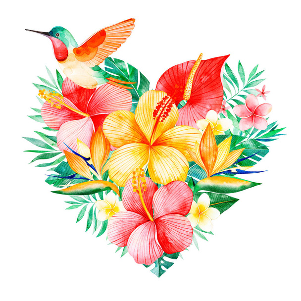 Летящий колибри в цветах и листьях на белом фоне
 - Фото, изображение