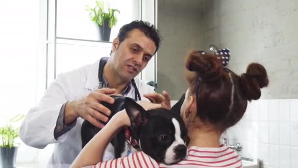 Volwassen professionele dierenarts in gesprek met een klein meisje terwijl haar hond aaien - Video