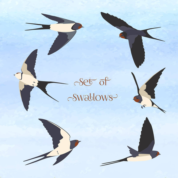 Set of simple swallows - Vektor, Bild