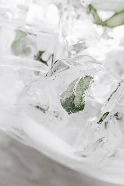 ice cubes with frozen aloe inside, closeup  - Photo, Image