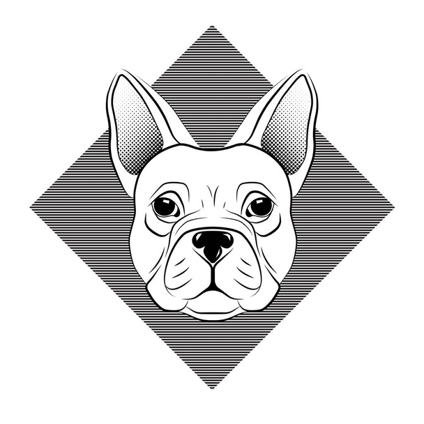 Französische Bulldogge Kopf isoliert auf weißem Hintergrund. Linie Tattoo Design Tierkopf. Vektorillustration. - Vektor, Bild