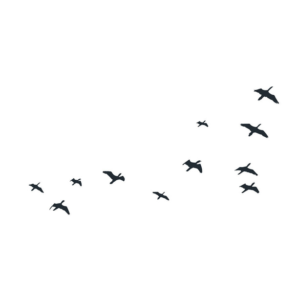 Flying birds silhouettes on white background. Vector illustration. isolated bird flying. - Vector, Image