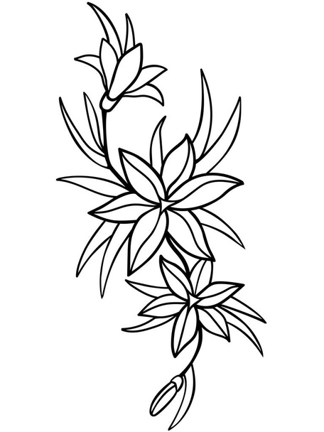 Lilies, flowers with leaves. Line drawing. For coloring - Vektor, kép