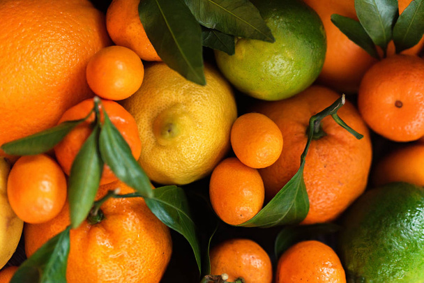 Close-up of various citrus fruits - Фото, изображение