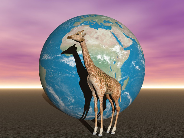 Africa and giraffe - Photo, Image