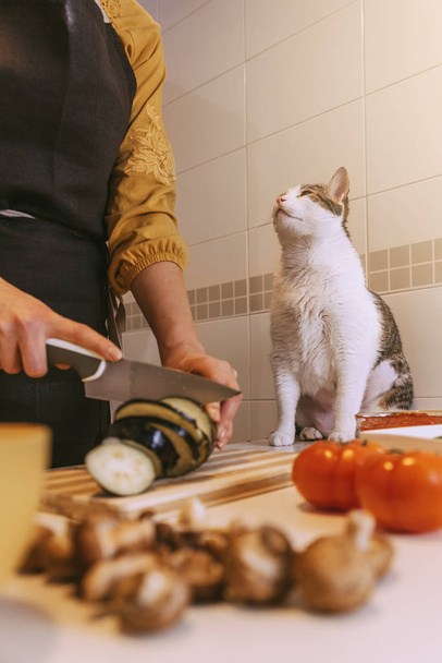 Woman preparing delicious pizza with her sweet cat. - Foto, afbeelding