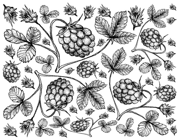 Hand Drawn Background of Arctic Bramble Berries - Vector, Image