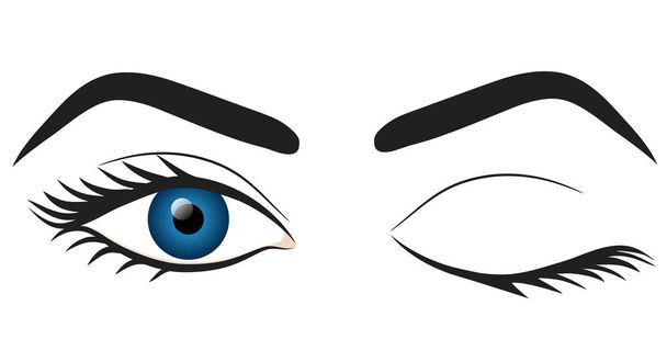 Donna occhi blu mano disegnare stock vettore illustrazione disegno
 - Vettoriali, immagini