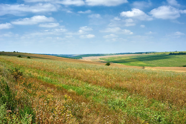 красивый весенний пейзаж, зеленое поле и яркое облачное небо
 - Фото, изображение