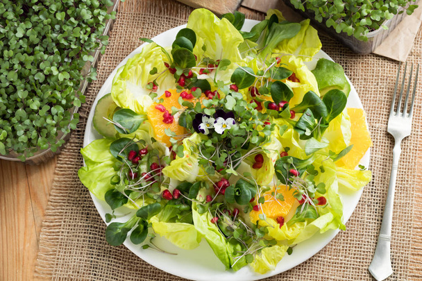 Taze microgreens, marul, Mısır salata, nar salatası,  - Fotoğraf, Görsel