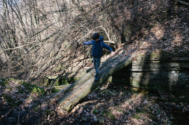το παιδί περπατά σε μια ξύλινη γέφυρα στο δάσος - Φωτογραφία, εικόνα