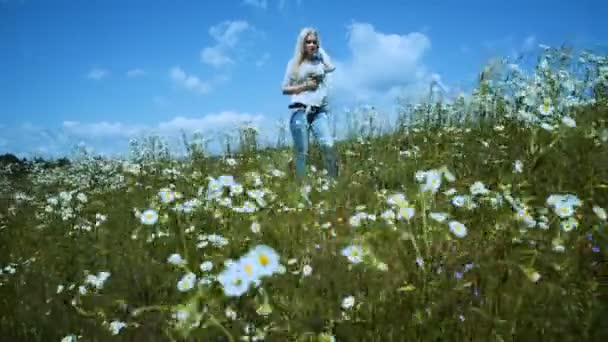 Chamomile flowers on a summer meadow. Beautiful woman in chamomile meadow. - Záběry, video